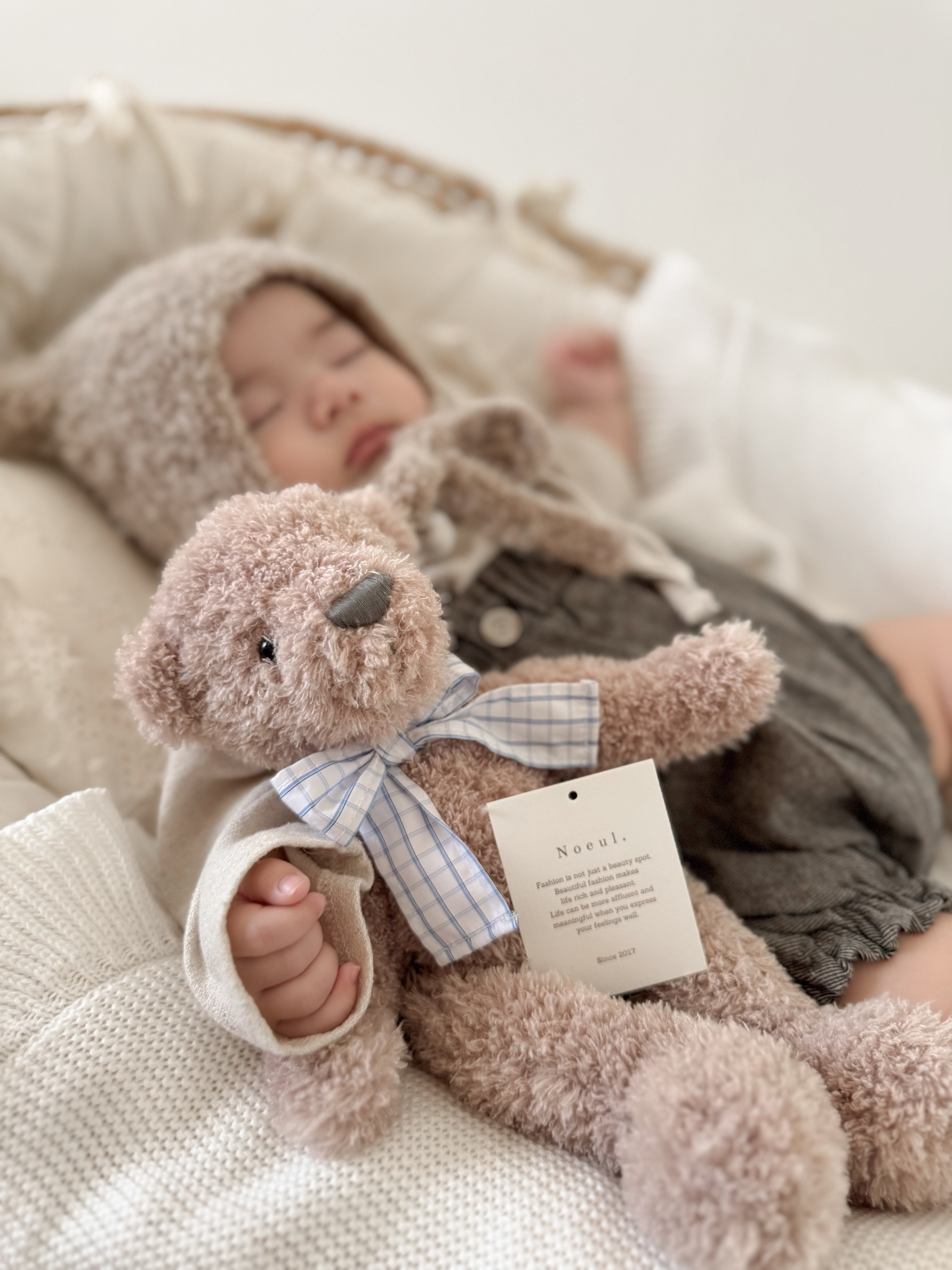 Bear doll