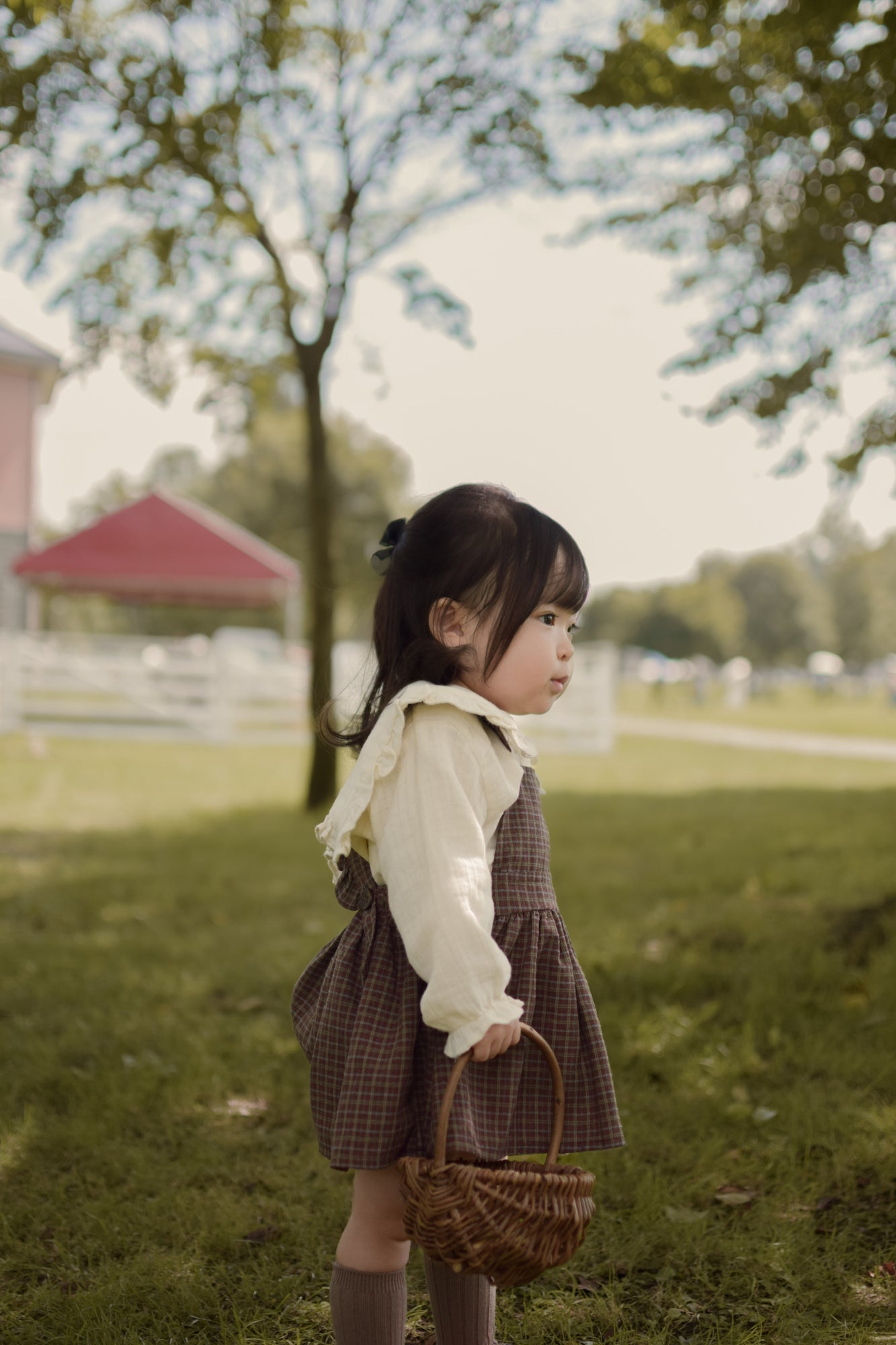 Check apron one-piece