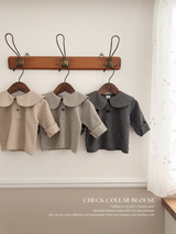 Check collar blouse