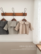 Check collar blouse