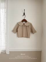 Check collar blouse