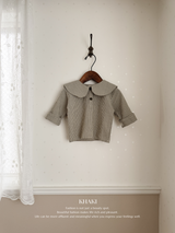 Check collar blouse