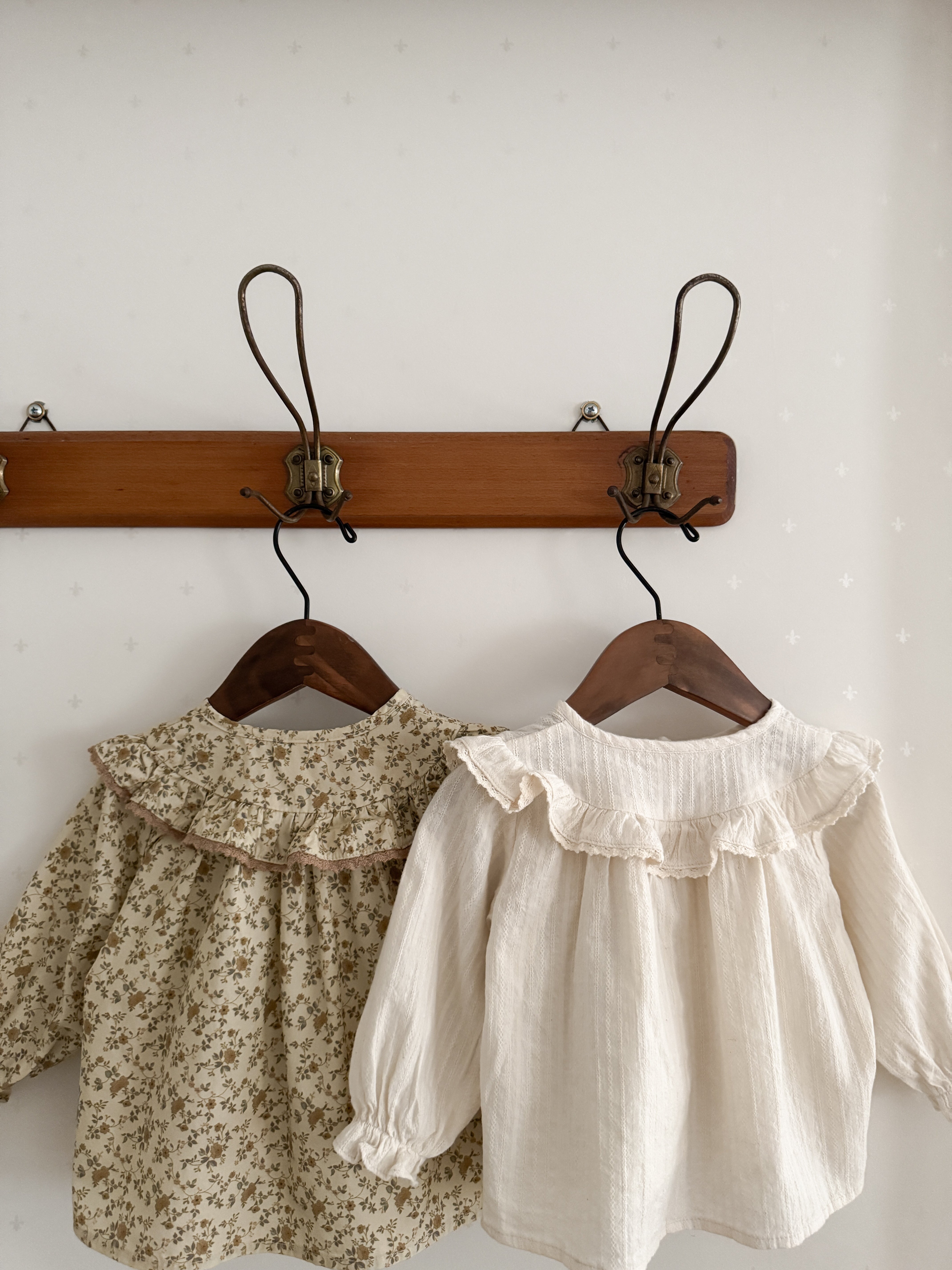 Wing shirring blouse
