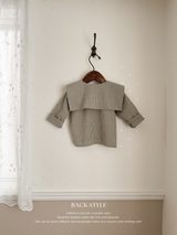 Check collar blouse