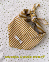 ［Aosta］Louis Stripe Scarf