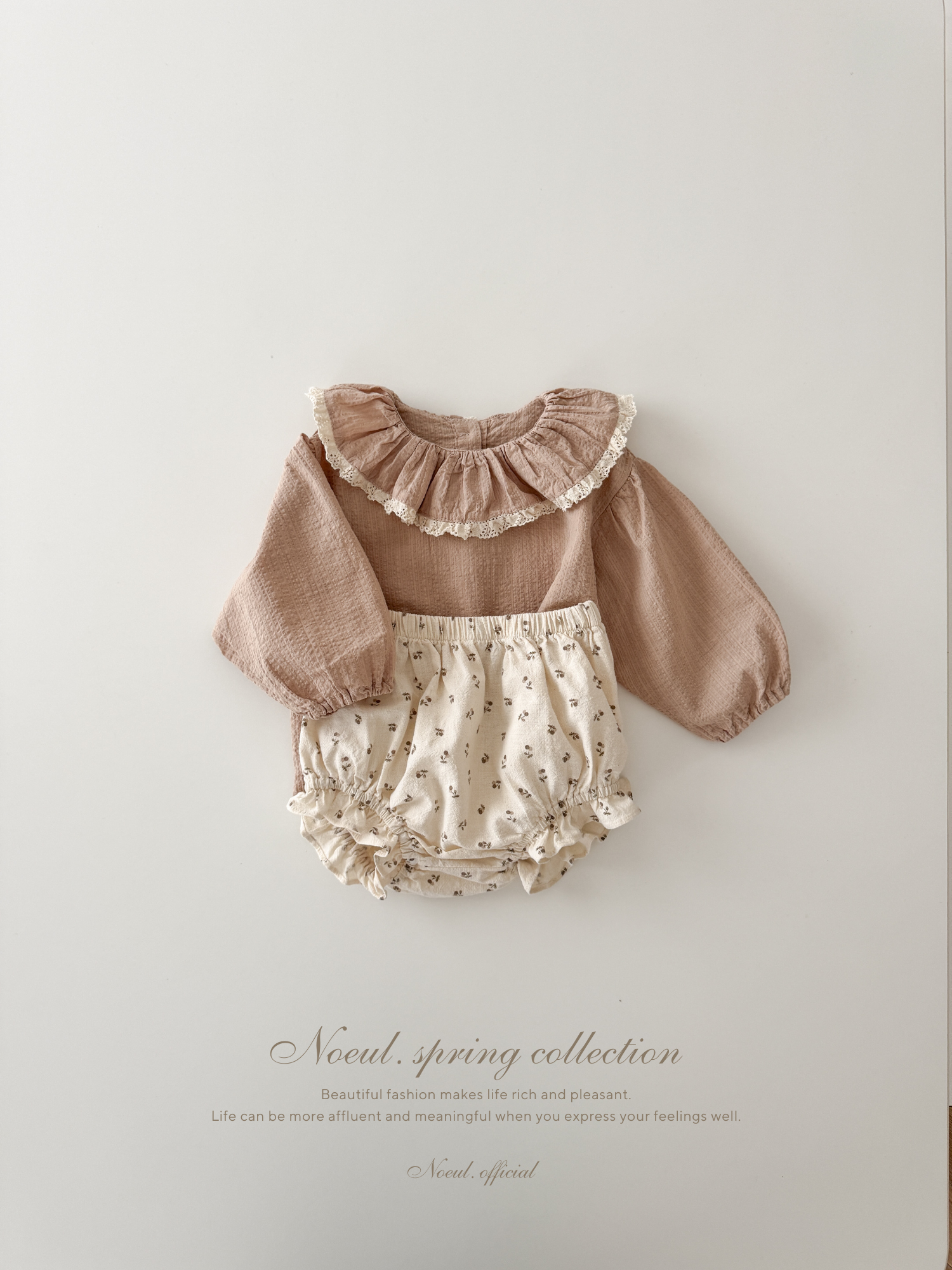 Ray lace collar blouse