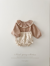 Ray lace collar blouse