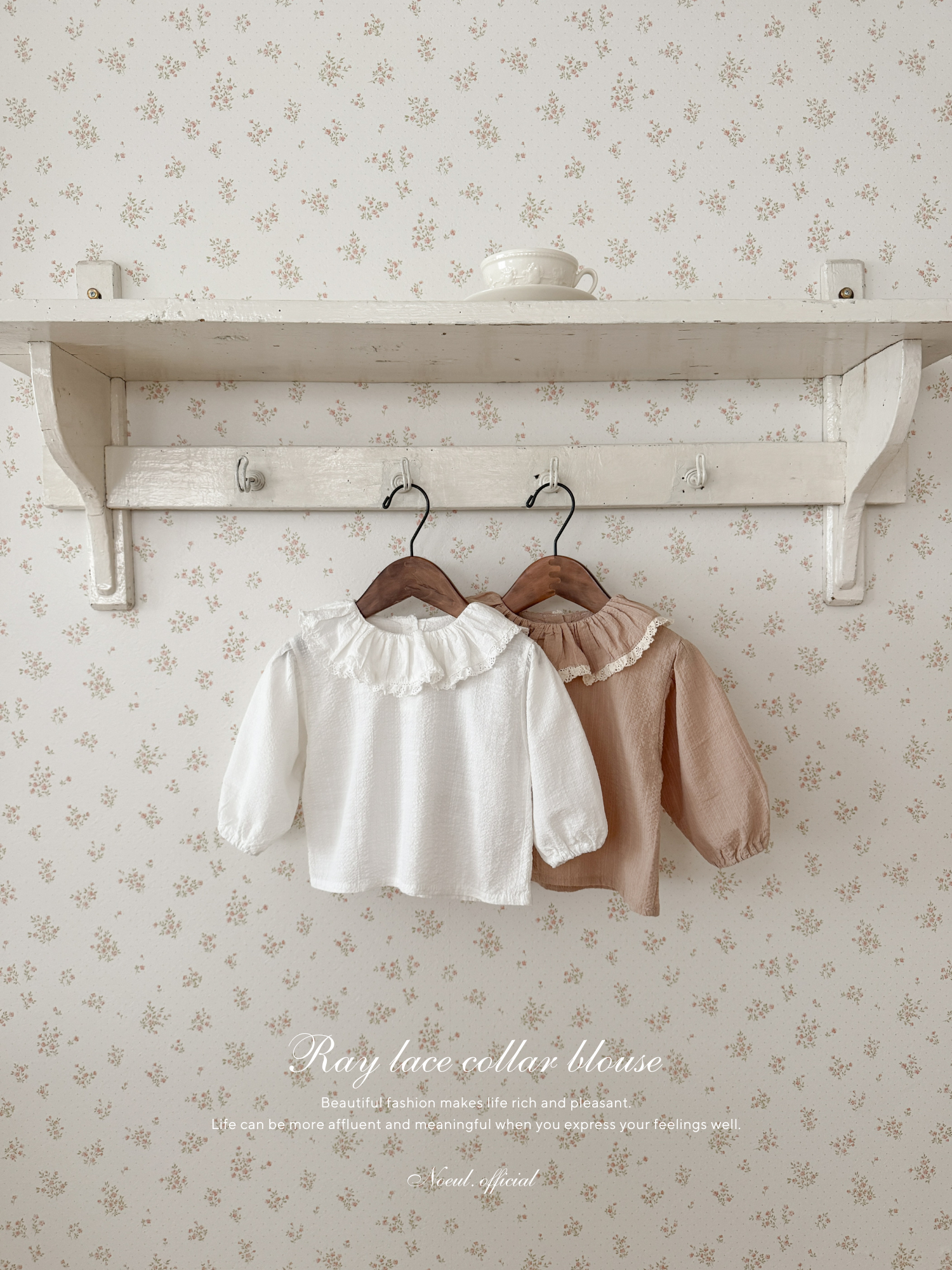 Ray lace collar blouse