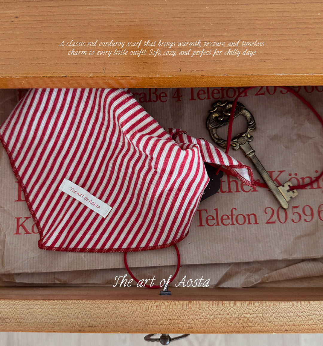 ［Aosta］Louis Stripe Scarf