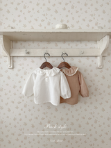 Ray lace collar blouse