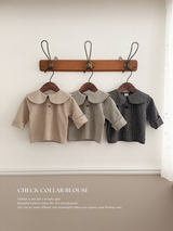 Check collar blouse