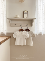 Roan lace collar blouse