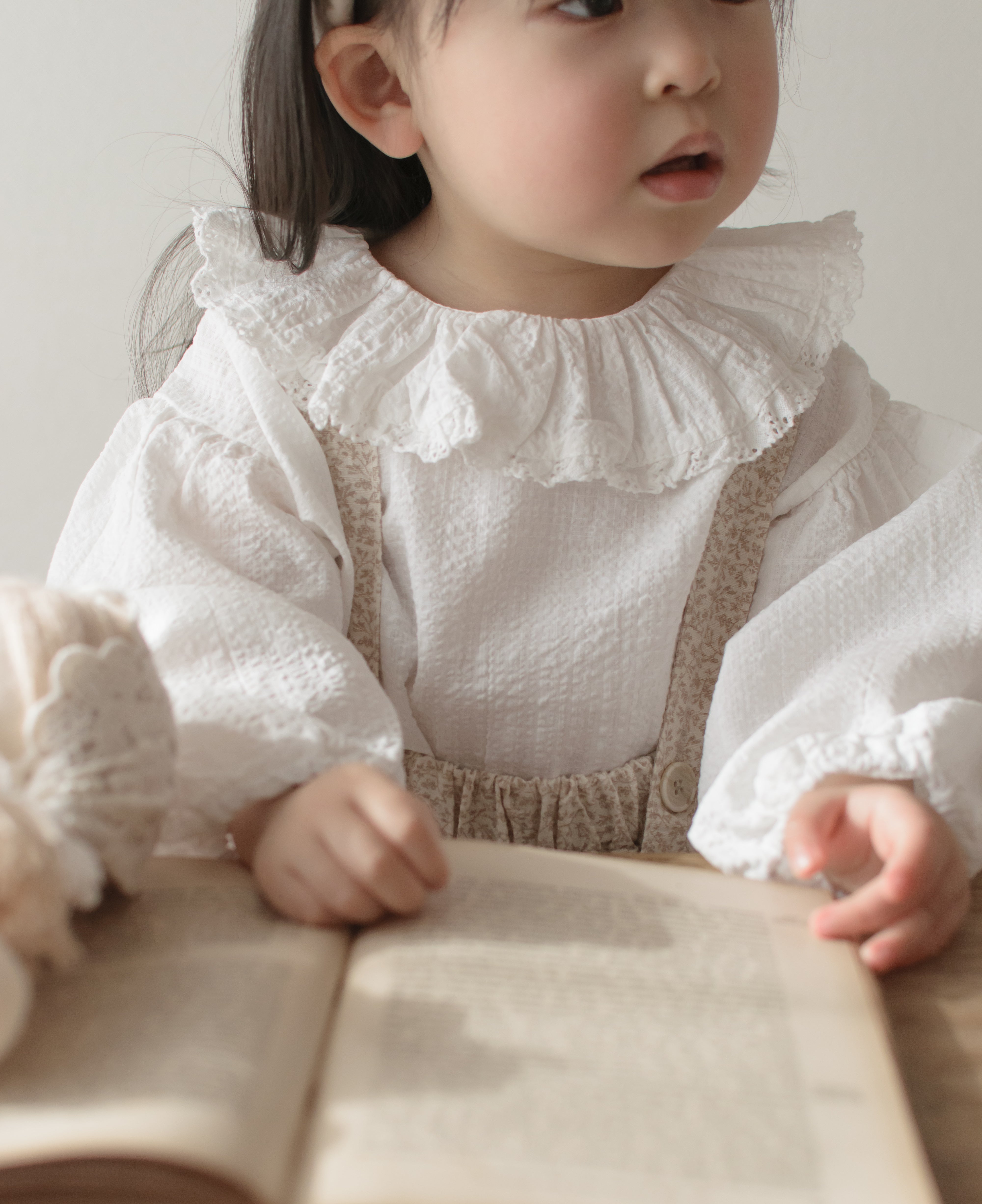 Ray lace collar blouse