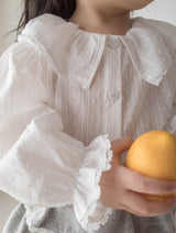 Fresh lace collar blouse