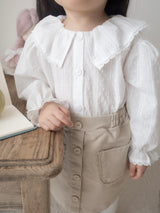 Fresh lace collar blouse