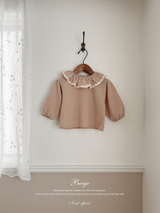 Ray lace collar blouse