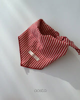 ［Aosta］Louis Stripe Scarf