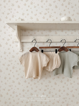 Wrinkle set up
