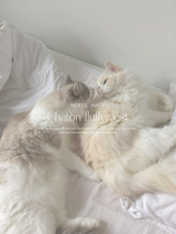 *Noeul.made* Chaton fluffy vest (baby & kids)