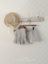 Moen stripe set up