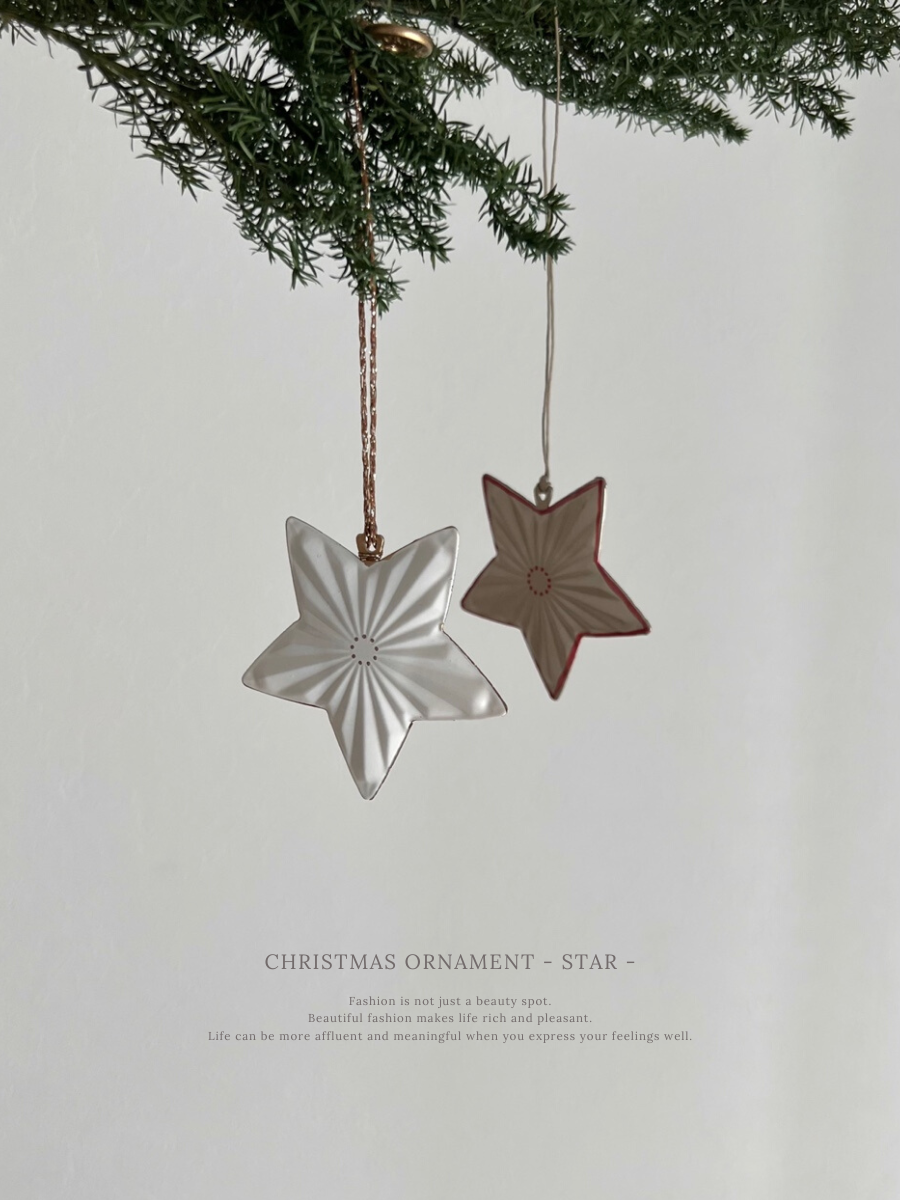 Christmas Ornament - star -