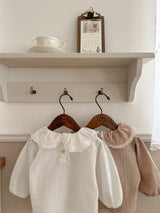 Ray lace collar blouse