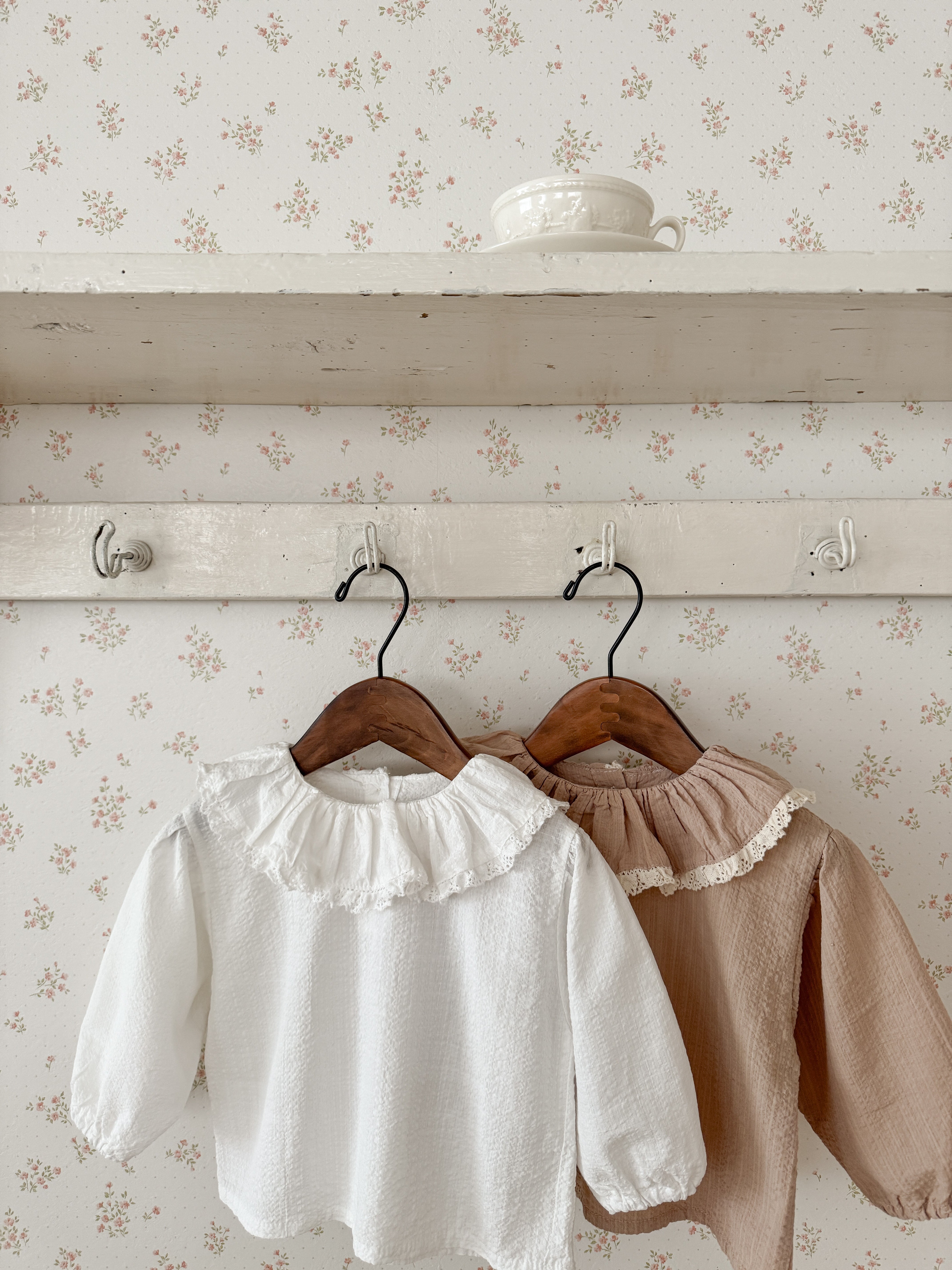 Ray lace collar blouse