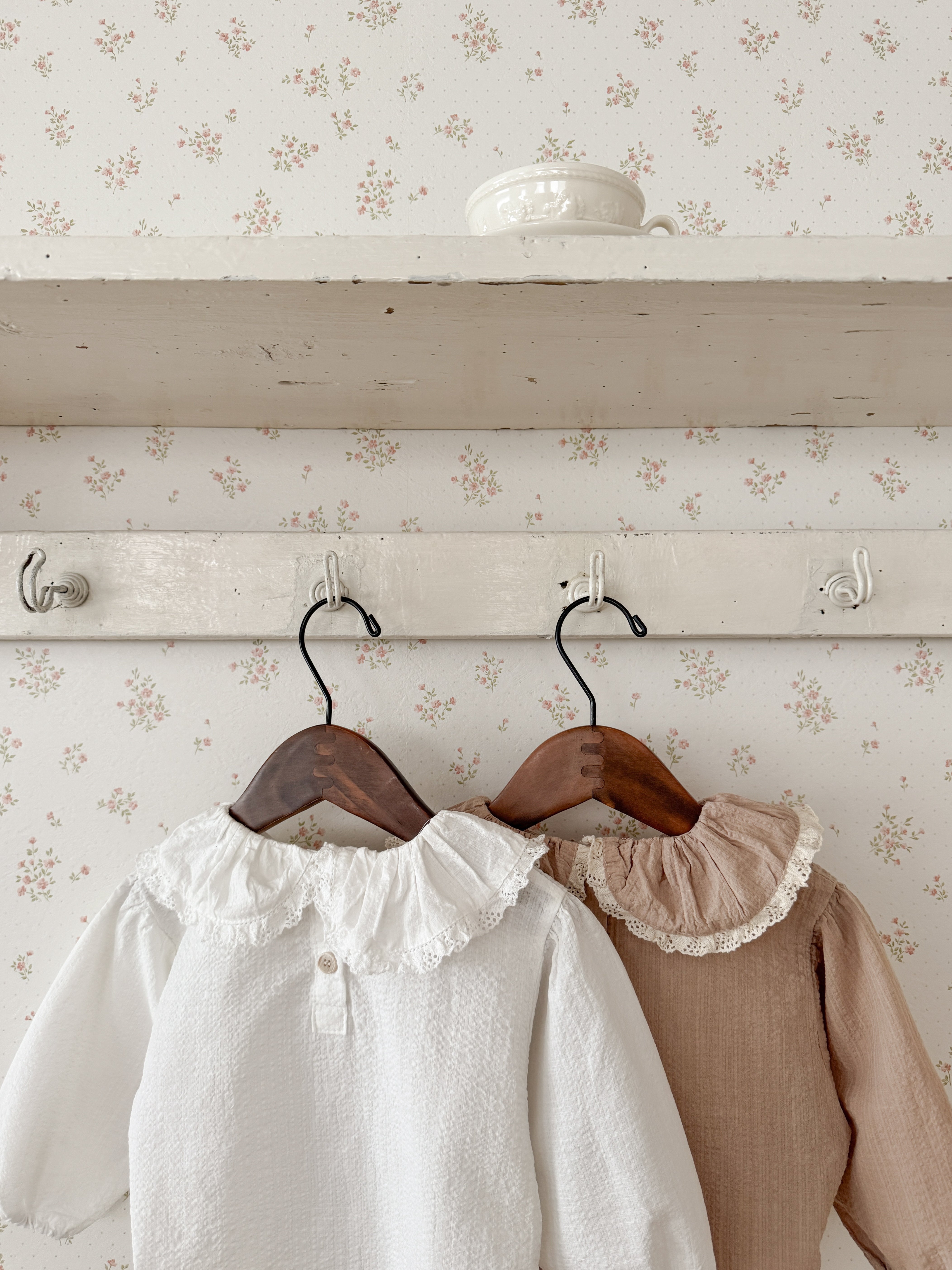 Ray lace collar blouse