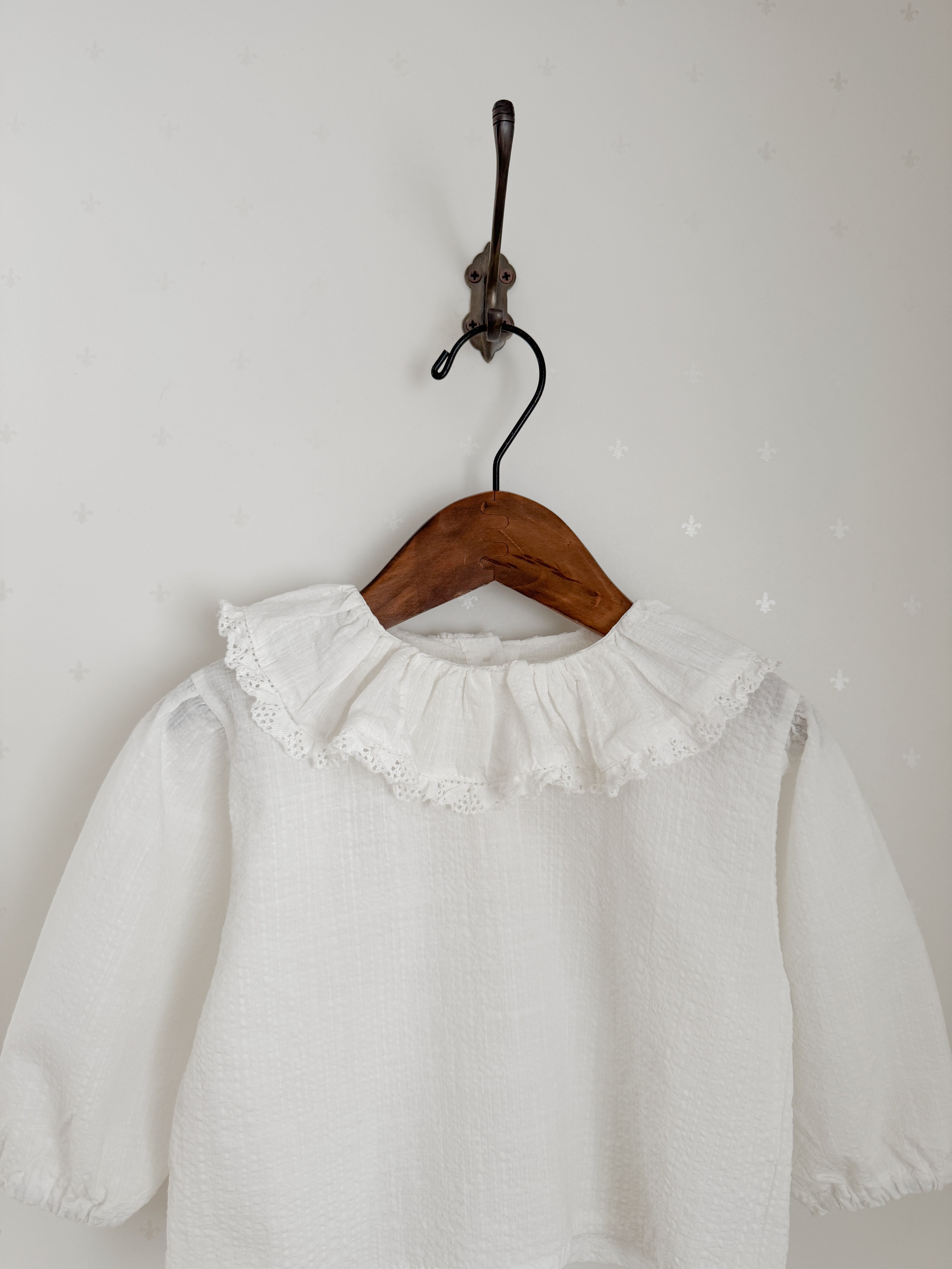 Ray lace collar blouse