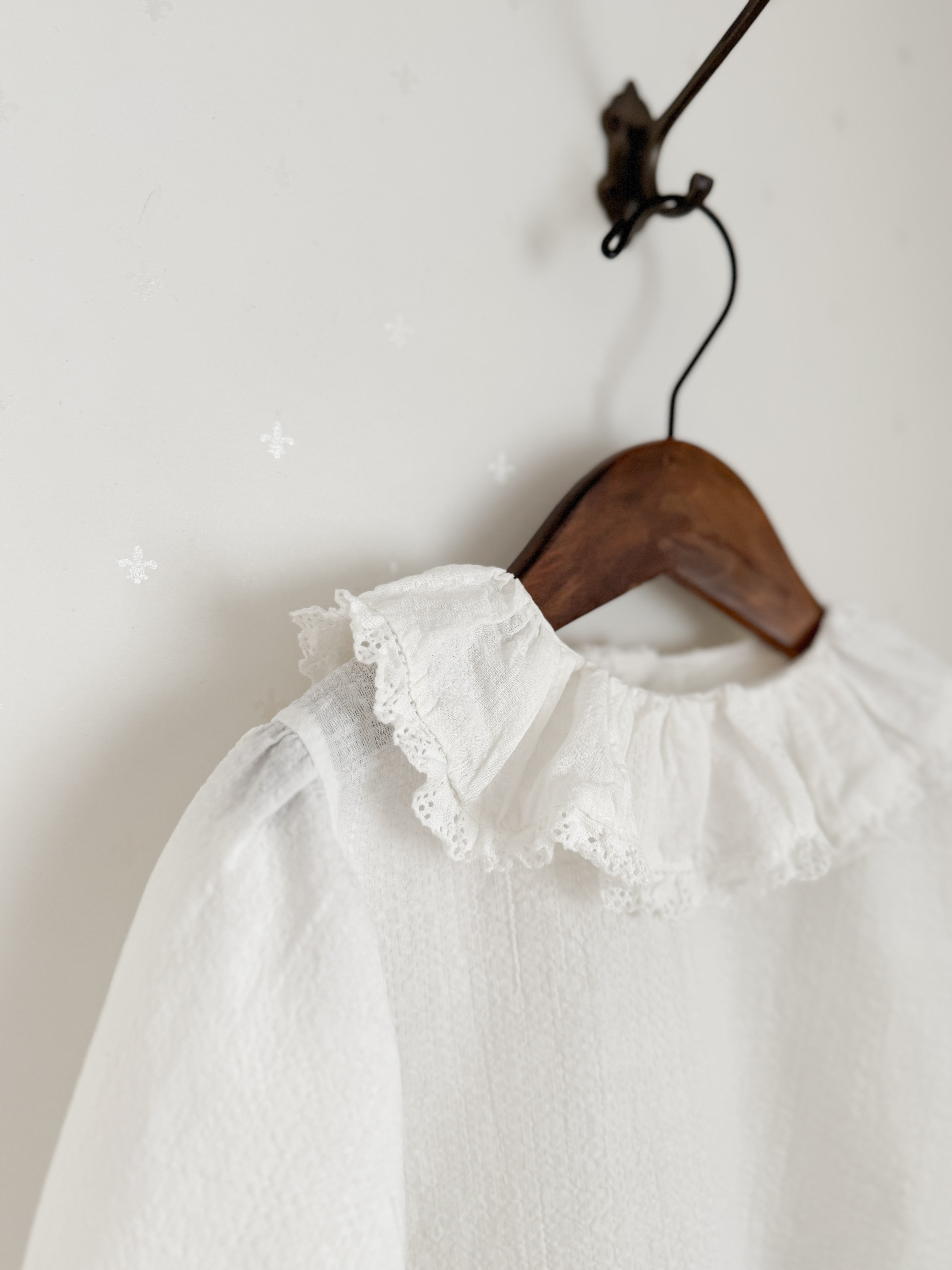 Ray lace collar blouse