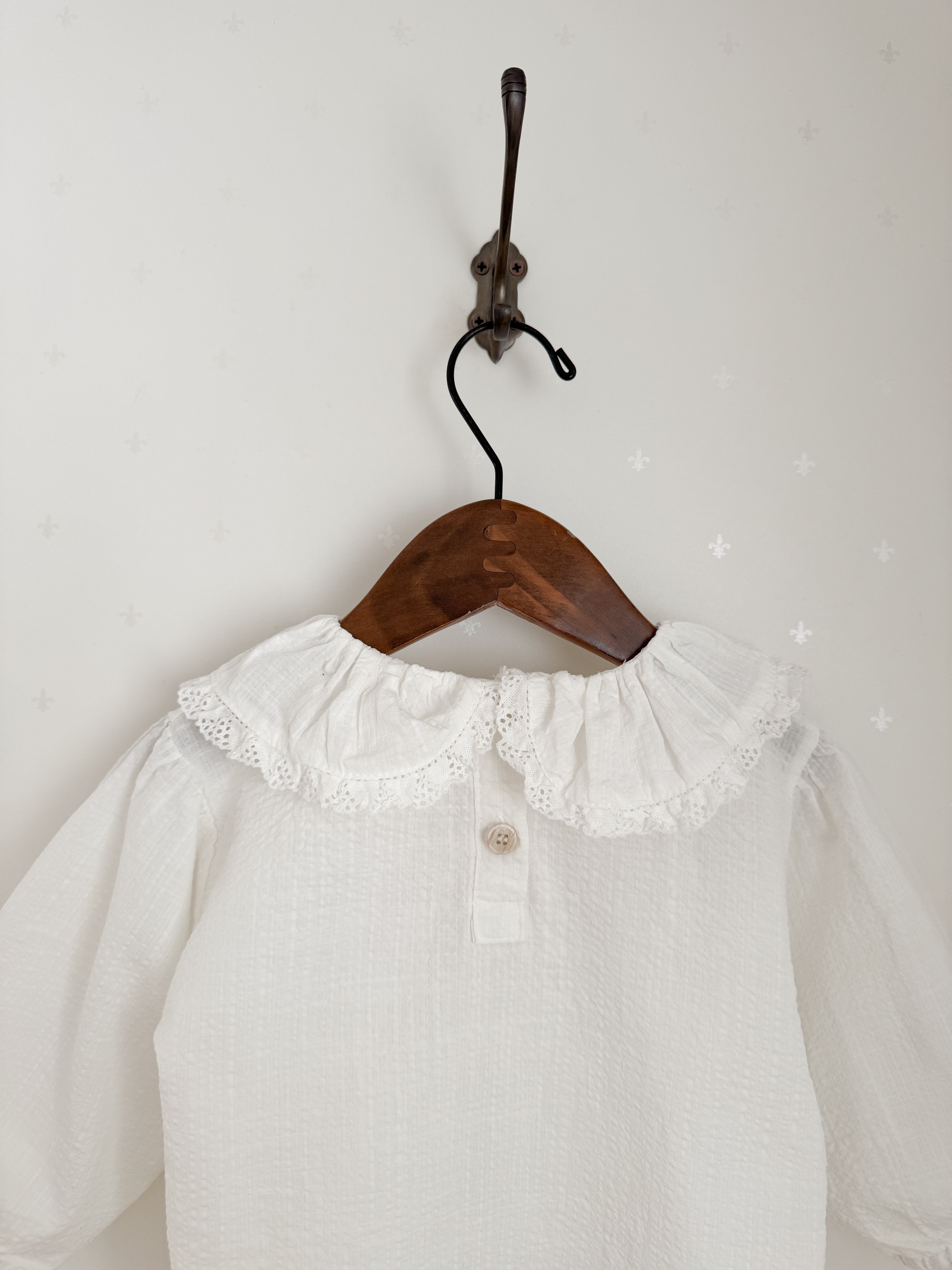 Ray lace collar blouse