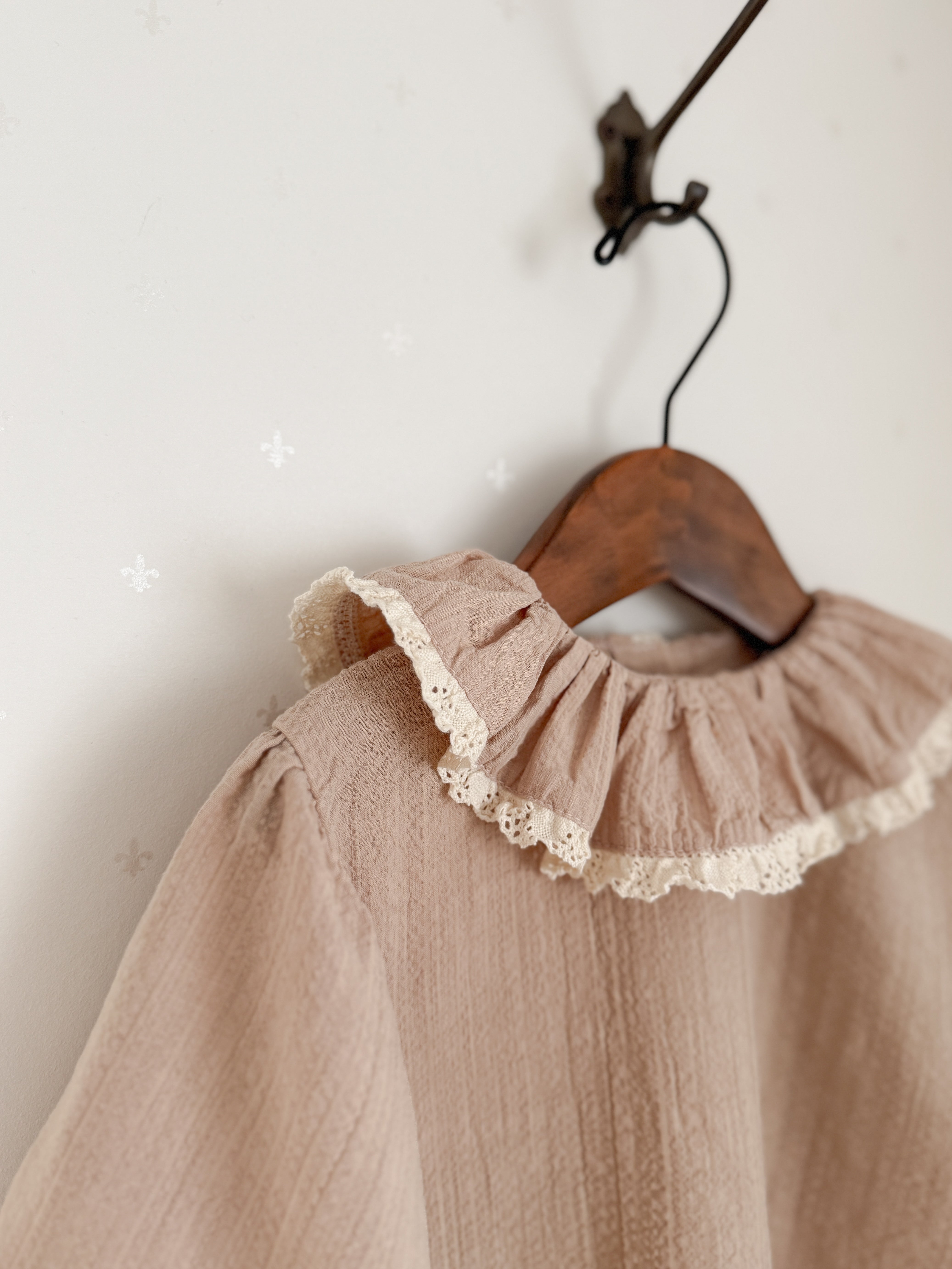 Ray lace collar blouse