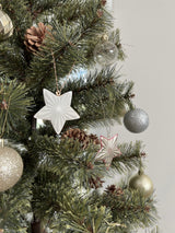 Christmas Ornament - star -