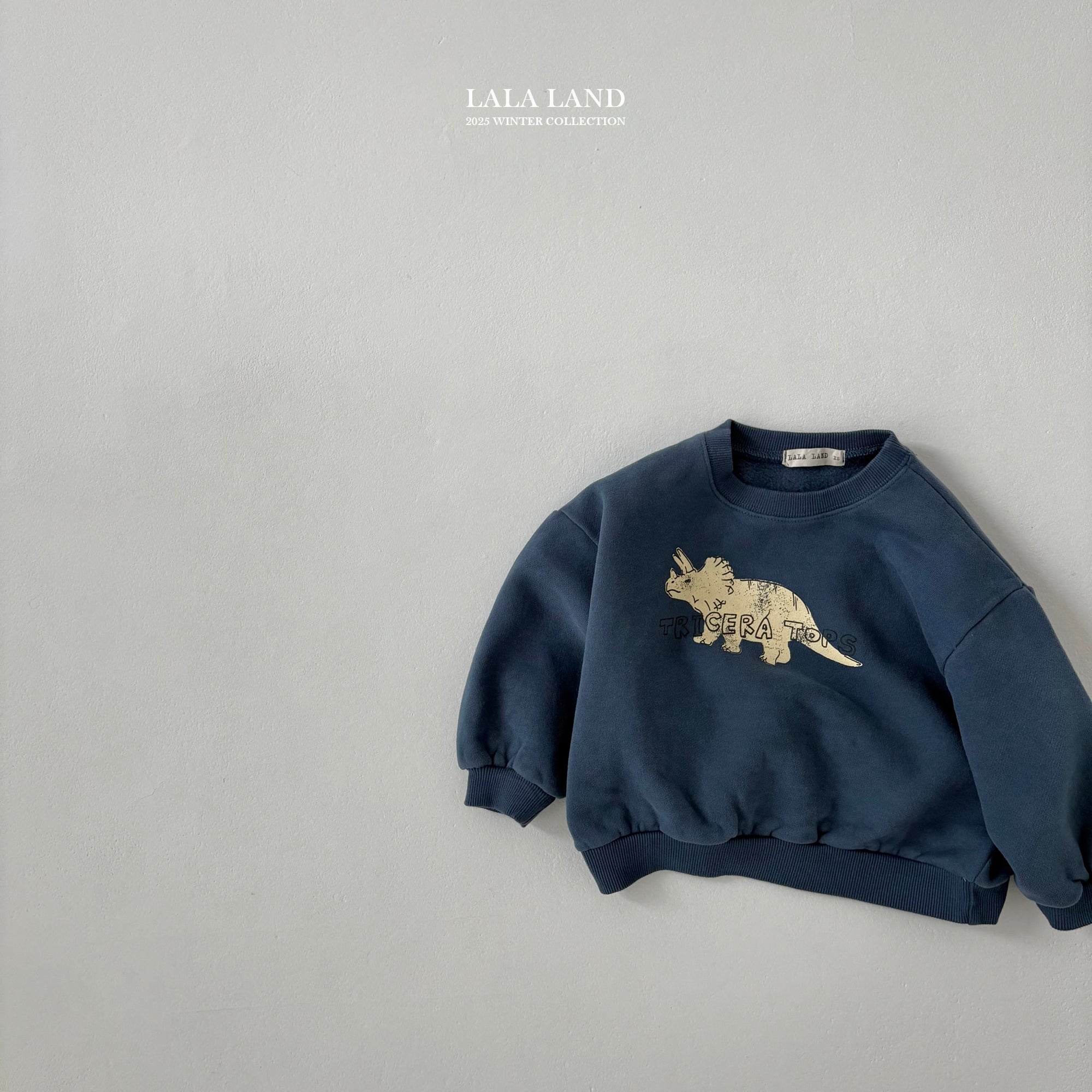 ［Lala land］Winter dinosaurs mtm (kids)