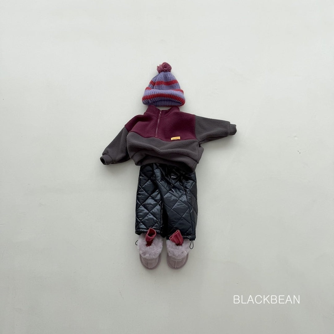 [BLACK BEAN] North padded pants