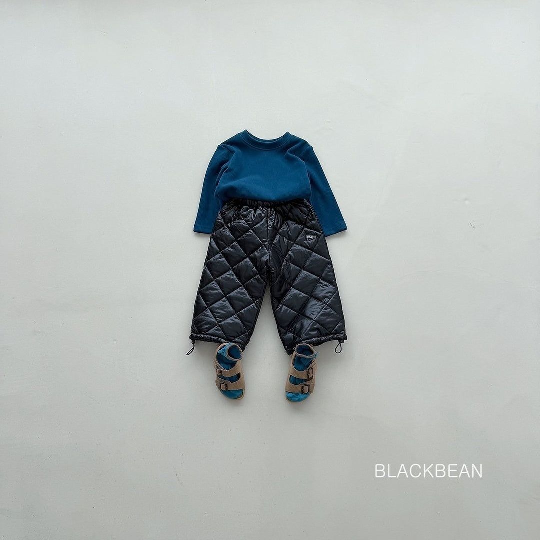 [BLACK BEAN] North padded pants