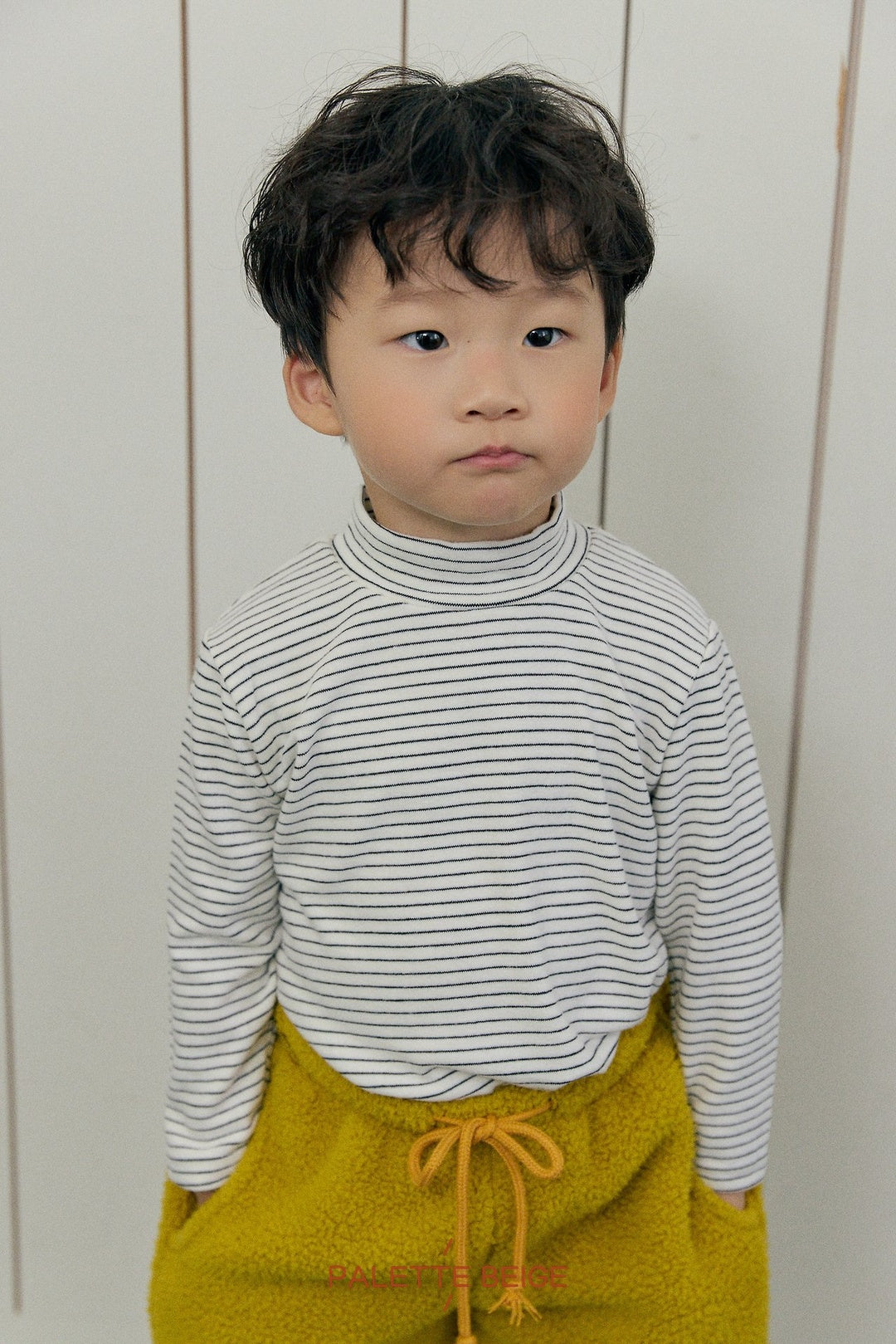 [PALETTE BEIGE] Stripe slim half turtleneck