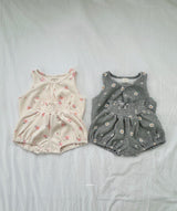 ［azalea］Daisy set up (baby)