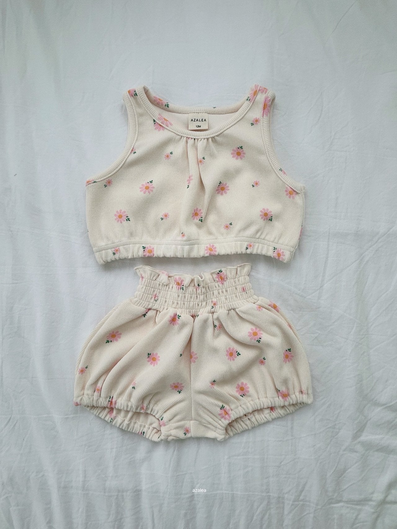 ［azalea］Daisy set up (baby)