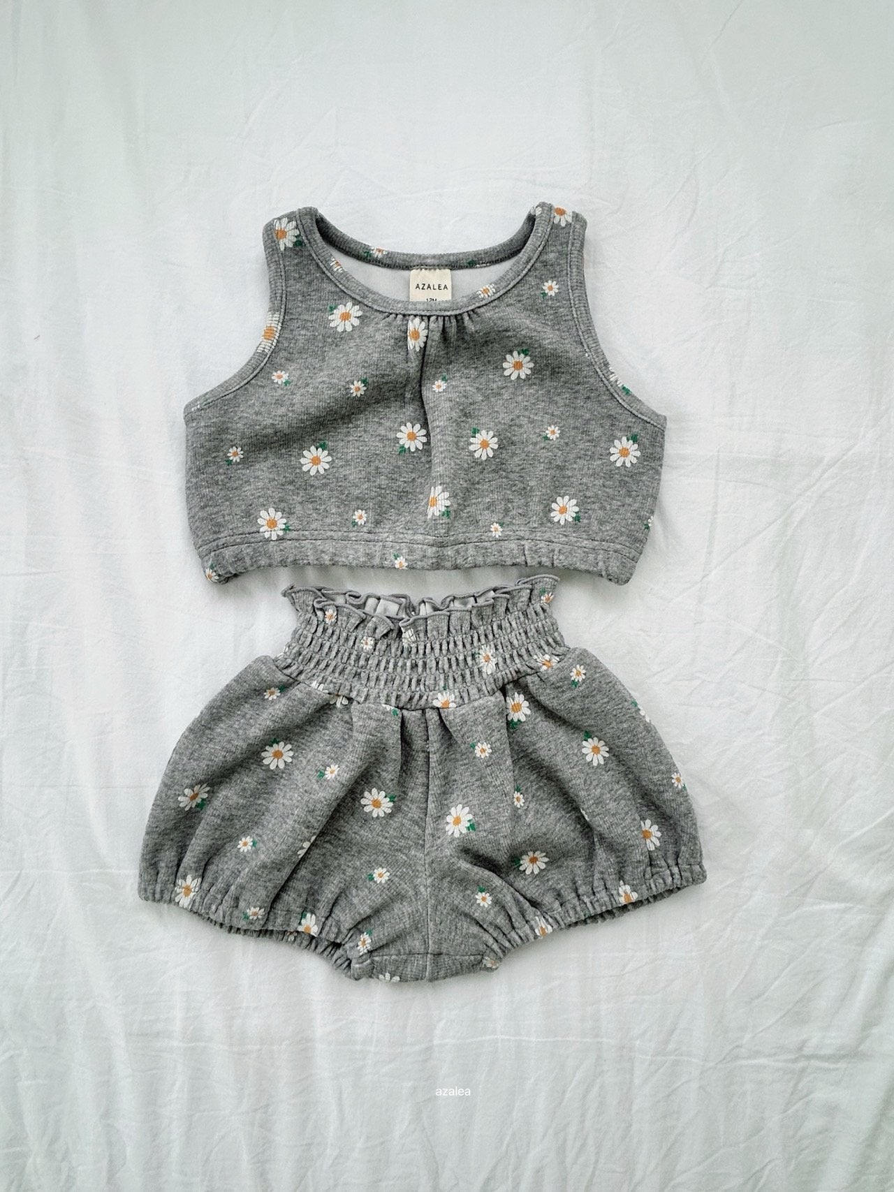 ［azalea］Daisy set up (baby)