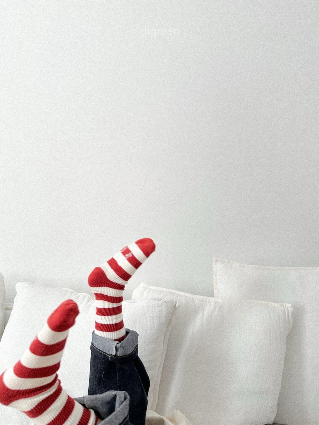 ［digreen］Minimal stripe socks set