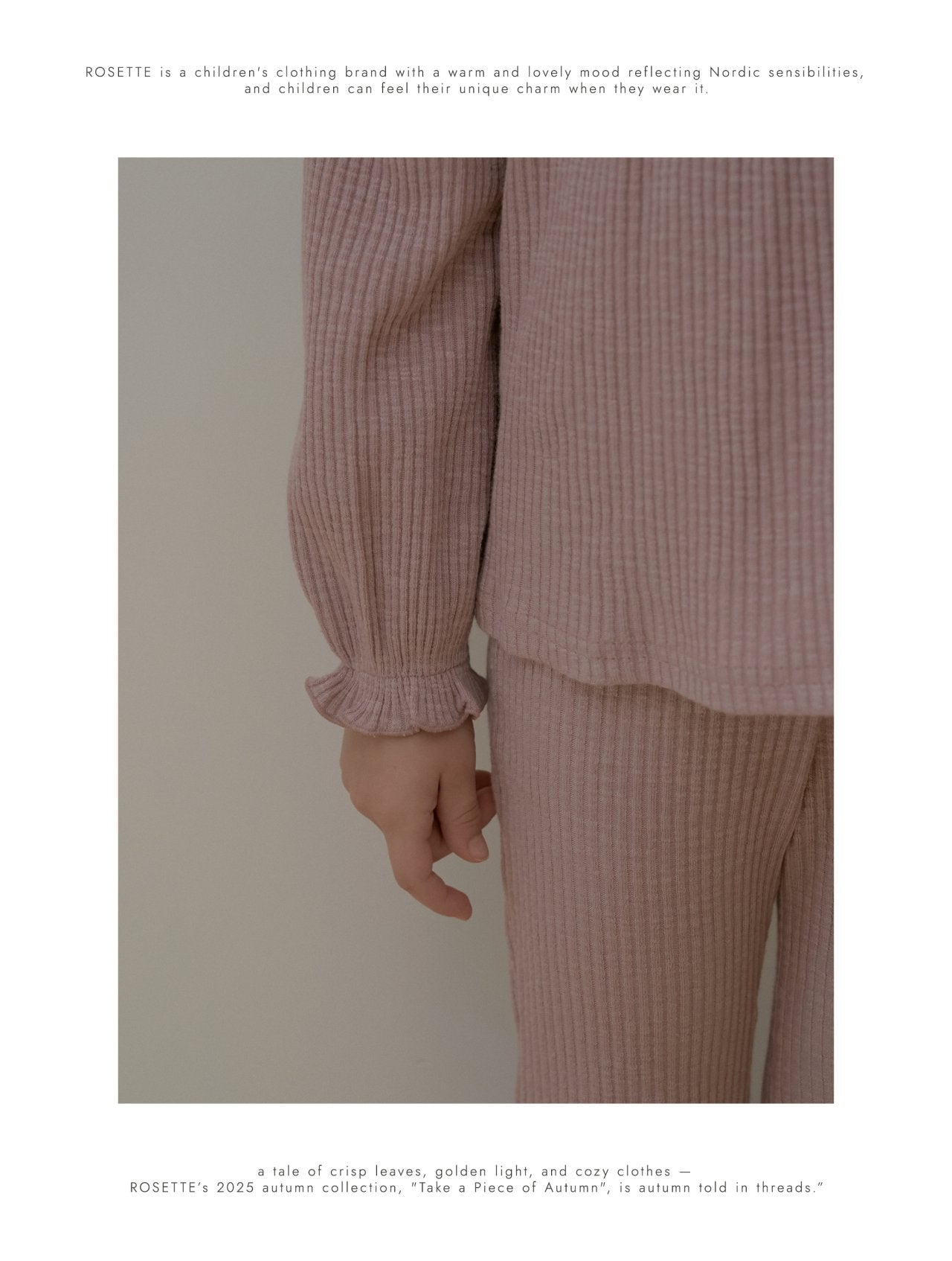 ［ROSETTE］Juddy set up