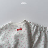 ［LINDO］Brendy set up