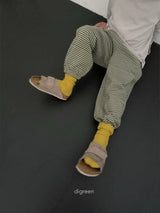 ［digreen］Vivid socks