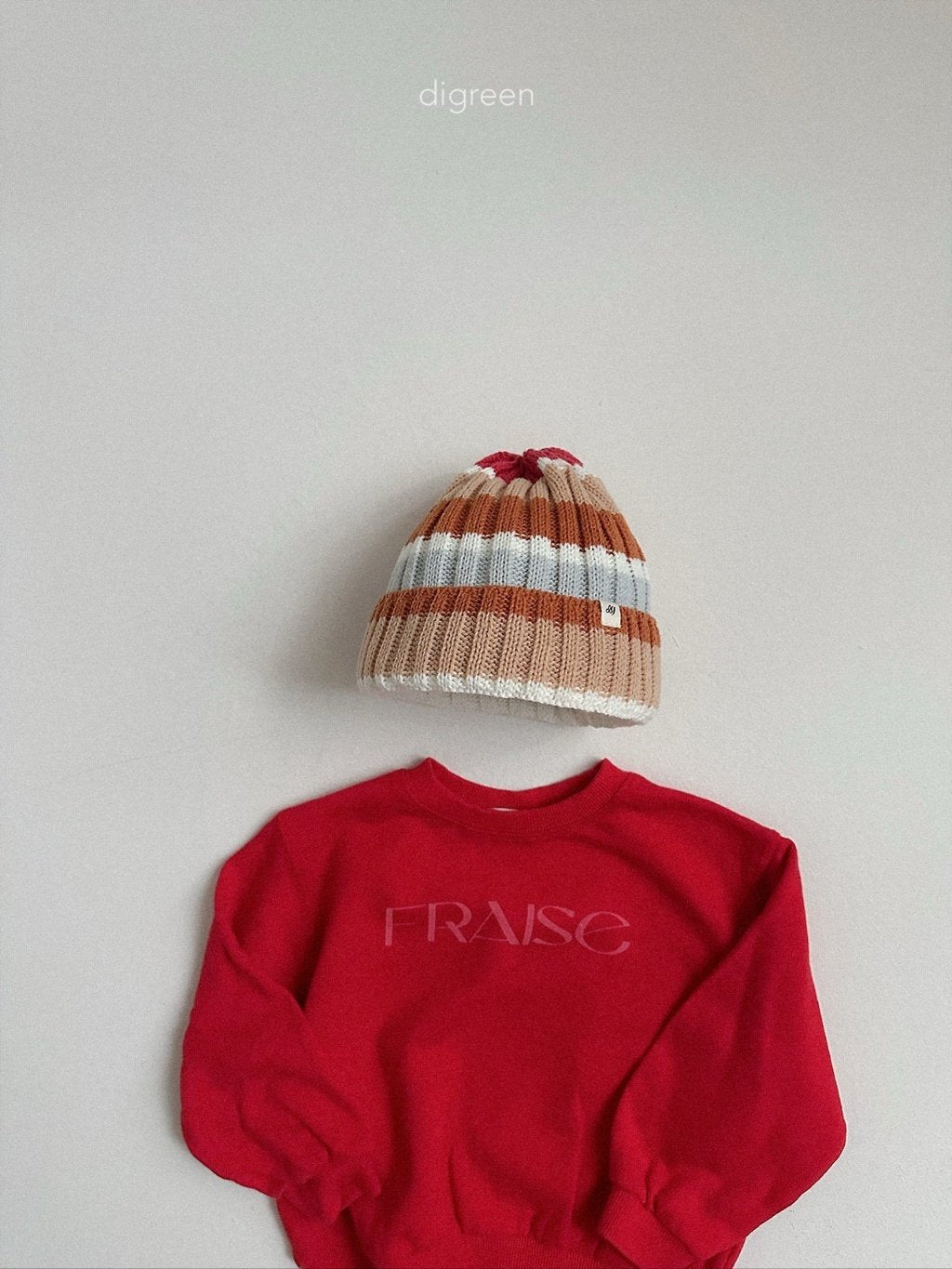 ［digreen］Multi beanie