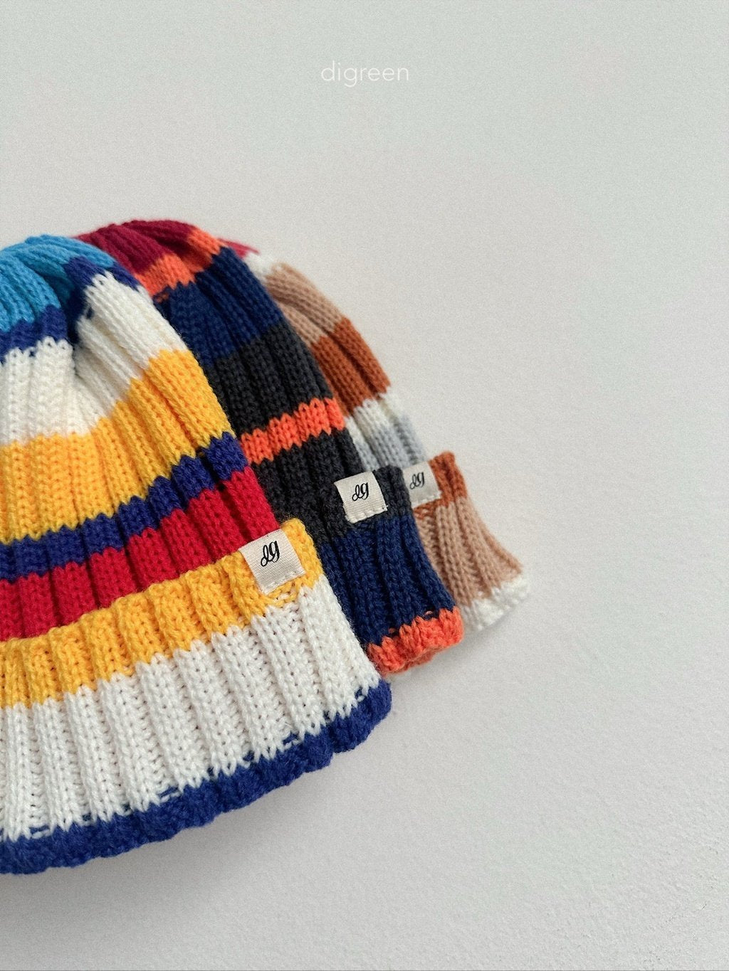 ［digreen］Multi beanie
