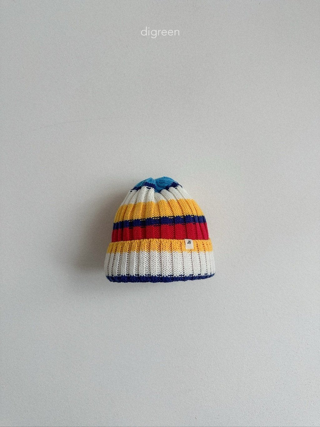［digreen］Multi beanie