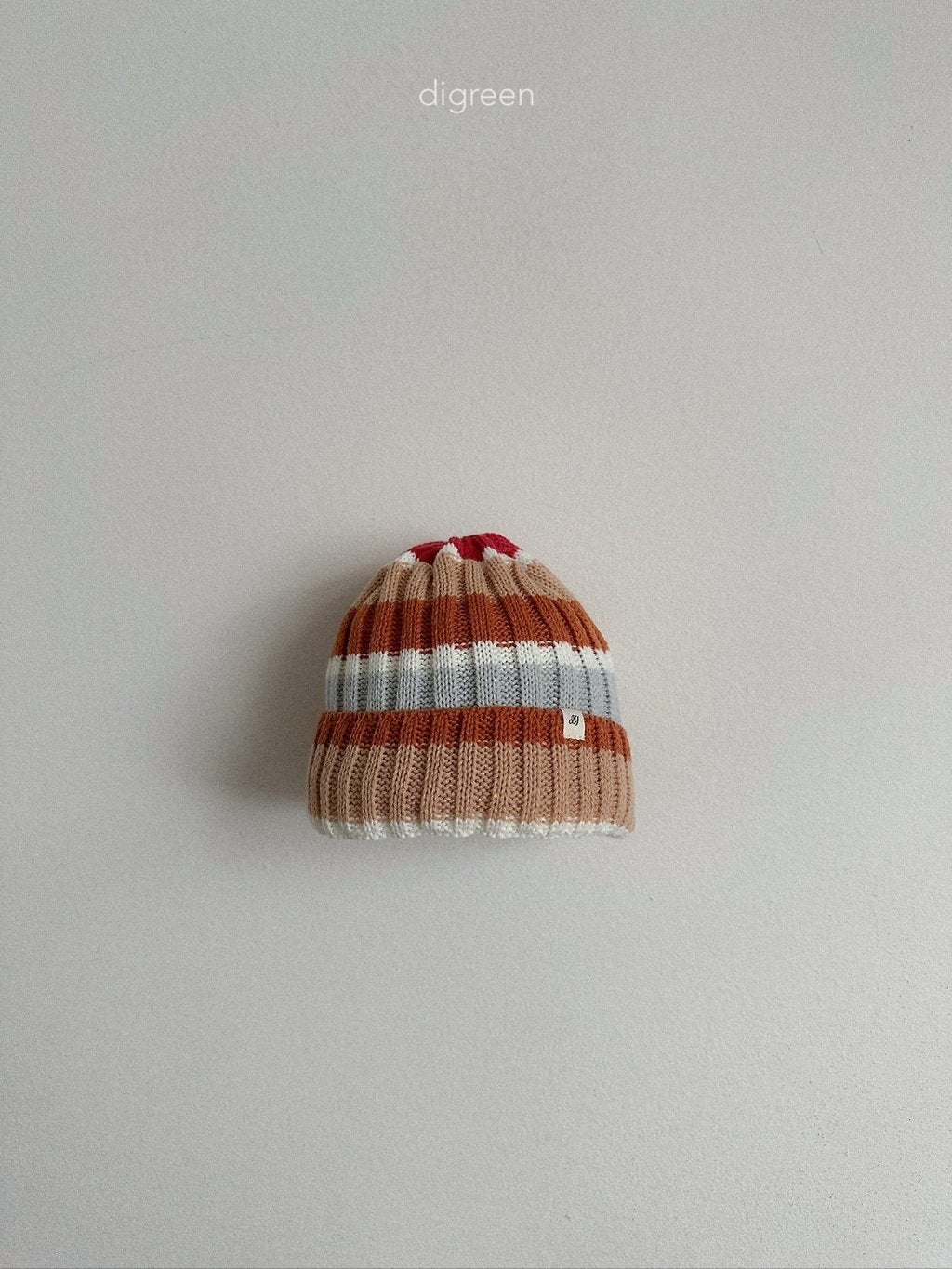 ［digreen］Multi beanie