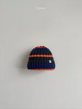 ［digreen］Multi beanie