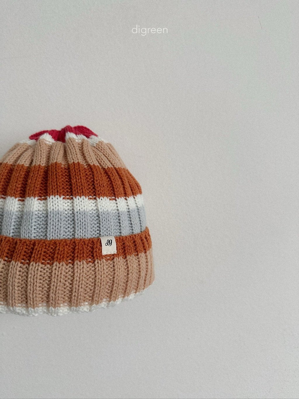 ［digreen］Multi beanie